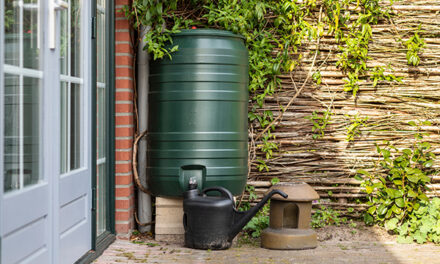 Prepper projects: Crafting your own rainwater collection system