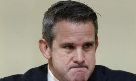 Adam Kinzinger’s Gun Range Photo Op Mocked After Reporter Hit with Shrapnel