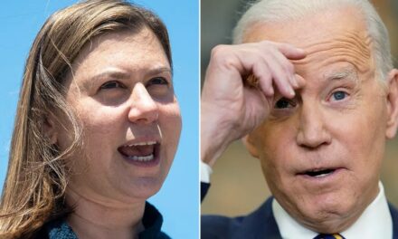 Slotkin slams fellow Dem Biden for ‘garbage’ gaffe amid heated Senate battle