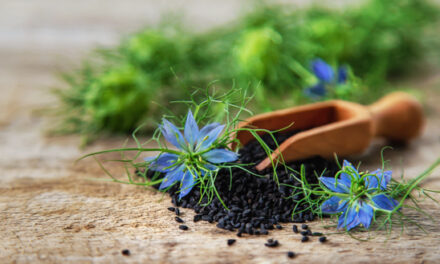 Black cumin: The tiny seed with big healing powers