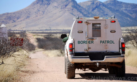 Border Patrol official: Over 19K illegal immigrants apprehended at the northern border during fiscal year 2024