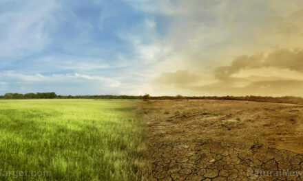 Rare RAIN DELUGE in Sahara Desert creating green, blue oases on land that had long been just sand