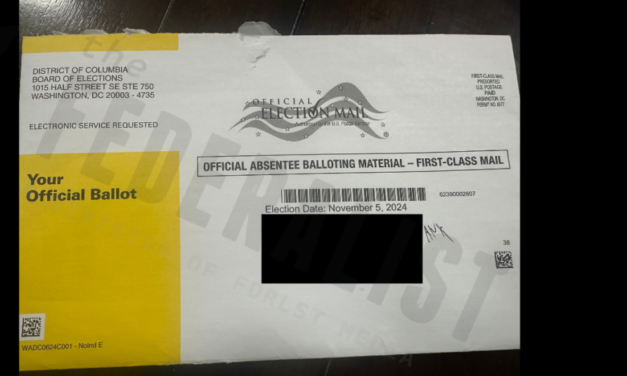 Washington DC Sends Ballot Intended For Another Voter To Michigan Resident