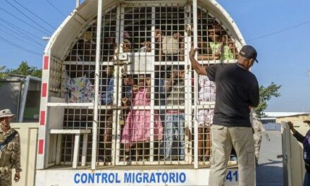 Dominican Republic Increases Deportations as Haiti Crisis Worsens