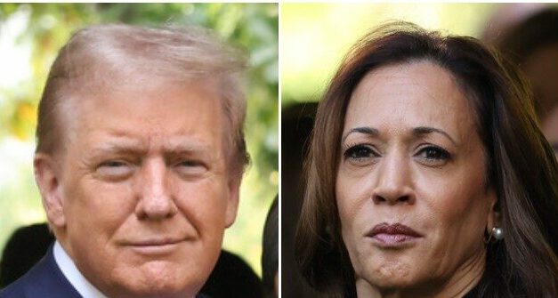 Poll: Voters More Confident Trump Will Win over Harris in November