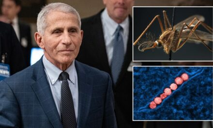 Fauci says West Nile Virus was a ‘harrowing’ experience: ‘Afraid I would never recover’