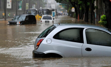 EV batteries damaged by floodwaters started at least six home fires in Florida