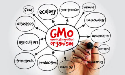 Genetically modified crops: A growing threat to health and the environment