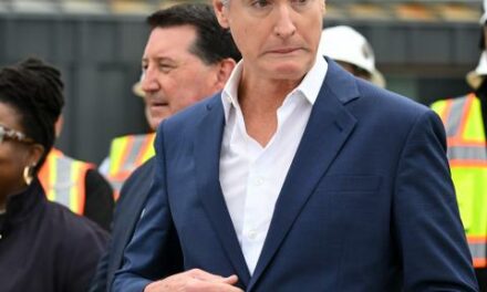 Newsom orders review of why CA electricity is expensive with renewable mandate