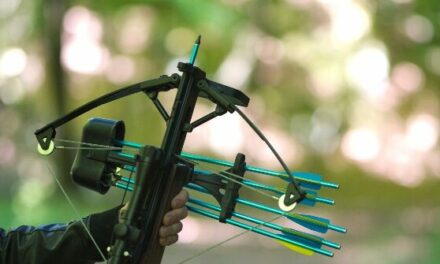 Report: Homeowner Armed with Crossbow Shoots Alleged Intruder