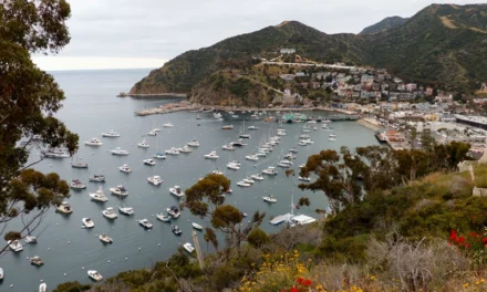 5 Dead After Plane Crash On Catalina Island 