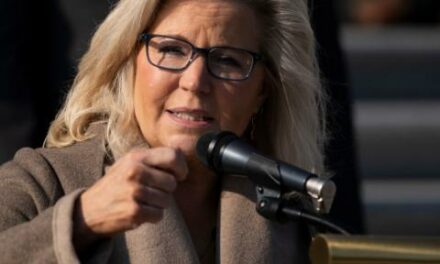 Liz Cheney pushes George Bush to endorse Kamala Harris over Trump