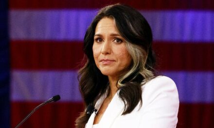 Trans athletes in women’s sports will get ‘radically worse’ under a Harris presidency, warns Tulsi Gabbard