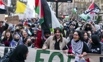 House Education Committee finds colleges failed to protect Jewish students in wake of protests