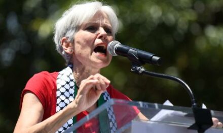 Green Party leaders in Europe call on Jill Stein to exit presidential race, endorse Harris