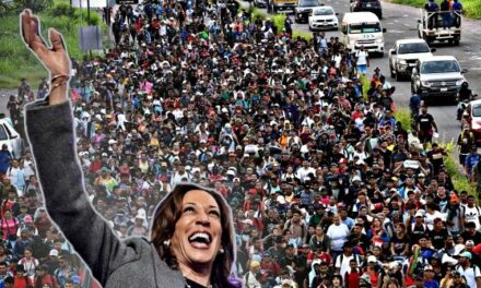 Kamala Harris Plan Imports More ‘Diversity’ Migrants to American Towns