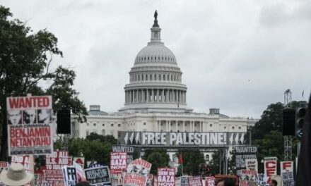 Protester sets himself on fire in demonstration marking 1 year since Hamas terror attack on Israel