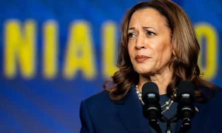 Kamala Faces Backlash For Skipping Hurricane Preparedness Briefings As Helene Death Toll Rises To Over 160