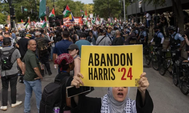 ‘Abandon Harris’ Campaign Calls On Muslim-Americans To Vote For Green Party In Latest Blow To Democrats