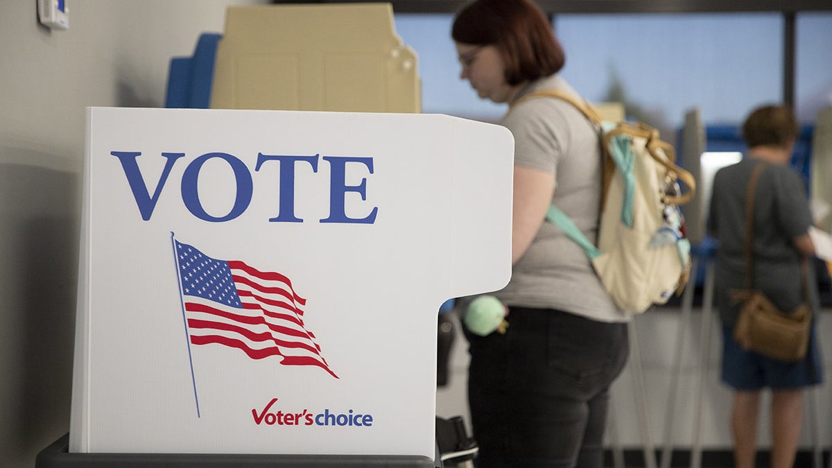 voting carrel with person voting at it