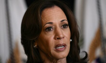 Kamala Harris Raised Money in California as Hurricane Helene Wreaked Havoc 