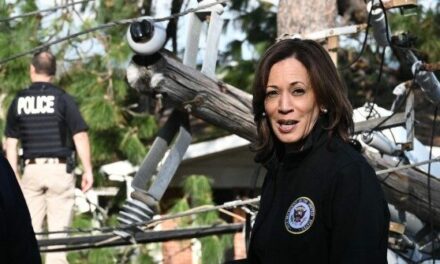 Nolte: Slow-Walking Aid to Hurricane-Ravaged Red America Is All Upside for Kamala