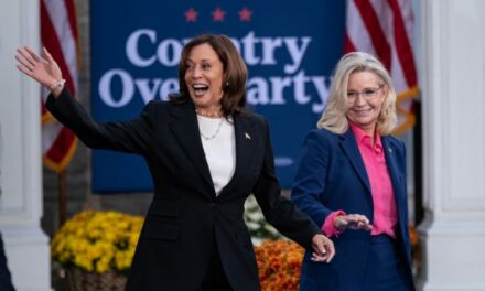 Ousted Rep. Liz Cheney Stumps For Kamala Harris In Wis.