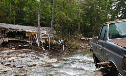 Report: Elderly Veteran Clung to Tree in North Carolina for ‘Five Hours’ Until Hurricane’s Floodwaters Swept Him Away