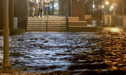 Four people confirmed dead in Florida’s St. Lucie County amid Hurricane Milton