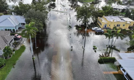 Hurricane Milton: Several Dead In Florida As Storm Thrashes State, Millions Without Power As Flash Floods Remain