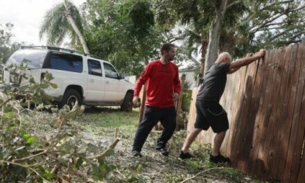 Watch: Florida Dog Rescued from Debris After Hurricane Milton’s Tornadoes Ripped Home to Shreds