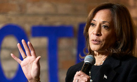 NYT Plagiarism Expert Admits Harris’s ‘Plagiarism Scandal’ Is ‘More Serious’ than He Previously Stated