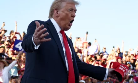 Trump’s Polling Surges, Boasting A 10-Point Lead As Harris Goes On Media Tour