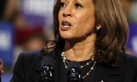 Suspected drunk driver going wrong way nearly crashes into Kamala Harris’ motorcade