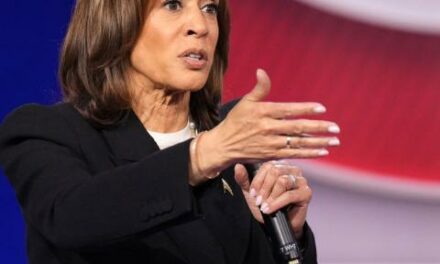 Harris struggles to defend immigration record, past criticism of border wall, in CNN town hall