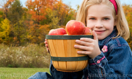 Why eating apples daily is your best defense against chronic diseases