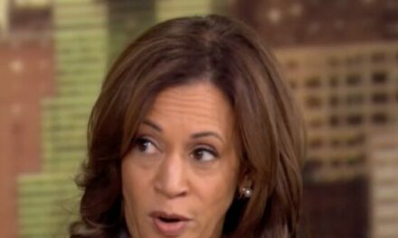 Harris: After Biden Passed the Torch I Called My Pastor — ‘I Needed to Talk to God’