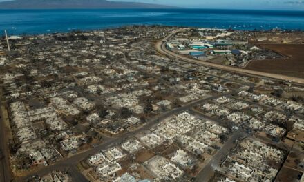 Cause of Maui wildfire that killed 102 revealed