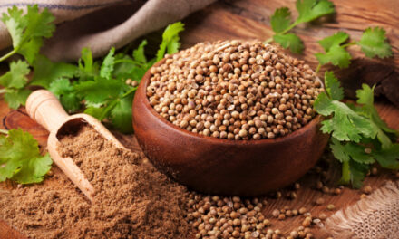 Coriander seeds: Ancient medicine backed by modern science