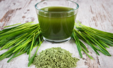 Nature’s multivitamin: Barley grass helps protect the body from numerous diseases