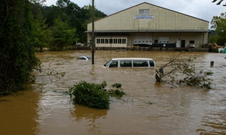 Will Battleground North Carolina Voters Overcome Hurricane Helene Challenges?