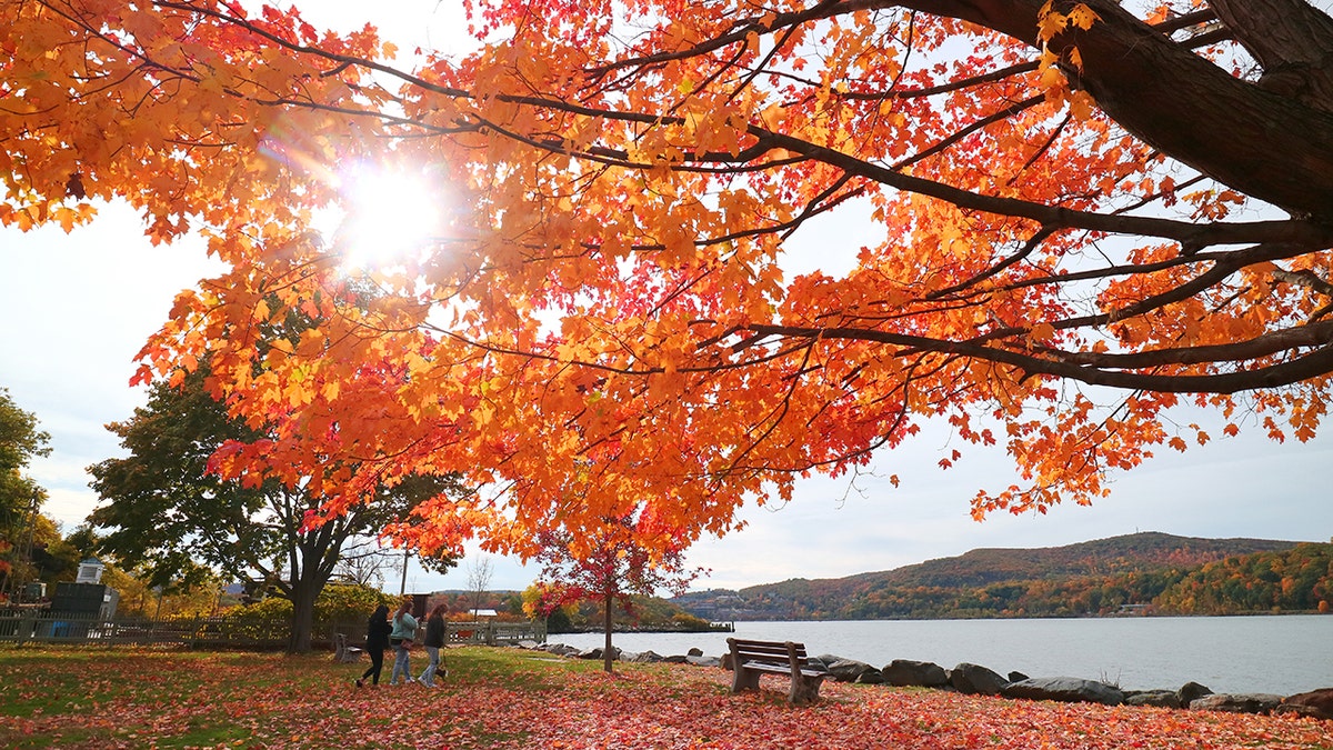 Hudson River, New York, in autumn