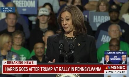 The Regime Media SUPPRESS Kamala Harris’s Plagiarism Scandal