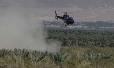 IDF Soldiers Kill Palestinian Terrorists in Jordanian Uniforms