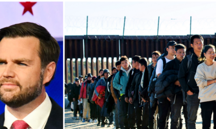 Open Borders Advocates Admit JD Vance Is Right: ‘Immigration Increases Housing Prices’