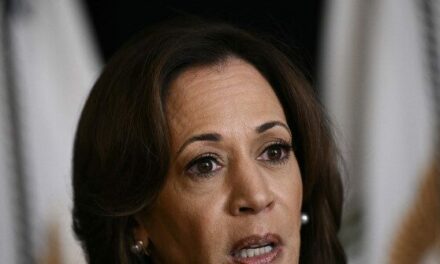 Kamala Harris: You Have to Take Responsibility ‘For What Happened in Your Administration’