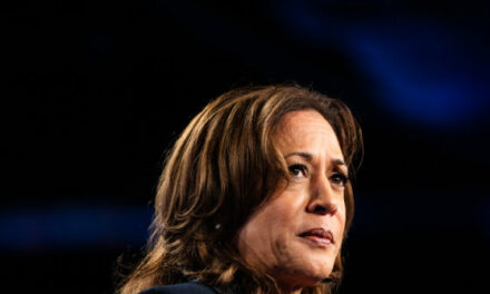 Report: Top Democrat Operatives Worry Blue Wall Is Slipping Away from Kamala Harris