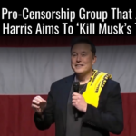 Foreign Censorship Outfit That Advises Kamala Harris Aims To ‘Kill Musk’s Twitter’