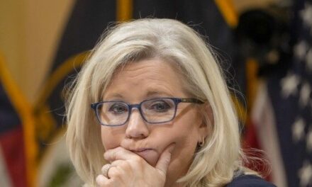 Congressional Panel: Liz Cheney Communicated with Witness About Testimony Without Attorney Present