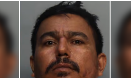 Miami Police: Nicaraguan Migrant Sexually Assaulted 80-Year-Old Woman After She Fell